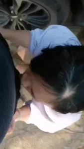 老骚毛毛姐野战车震全集