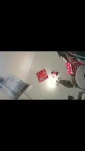 丹夫人系列之挑战尿道调教2