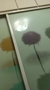 被骚母猪舔奶头，差点被舔射