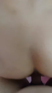 只手遮天txt下载